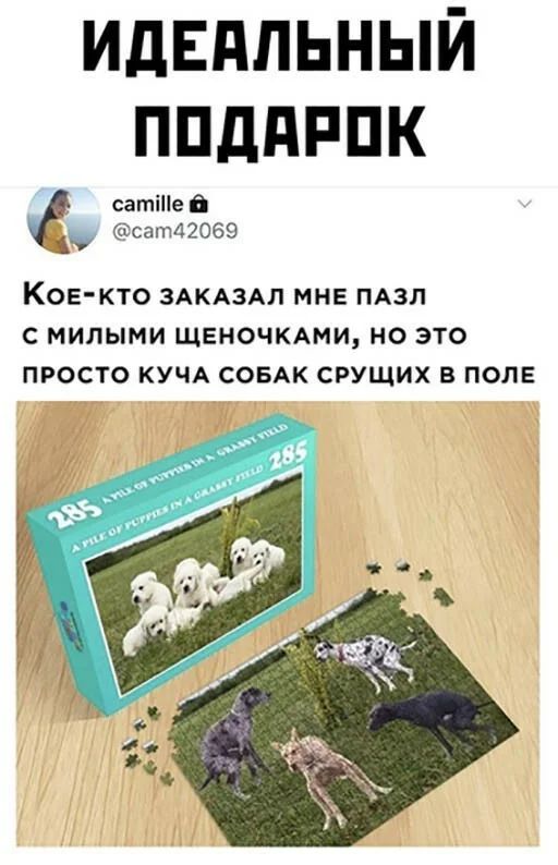 идЕдльный ппддппк сатіПе жит12069 Кое кто ЗАКАЗАЛ мне ПАЗЛ с милыми щеночкдми но это просто КУЧА СОБАК срущих в поле