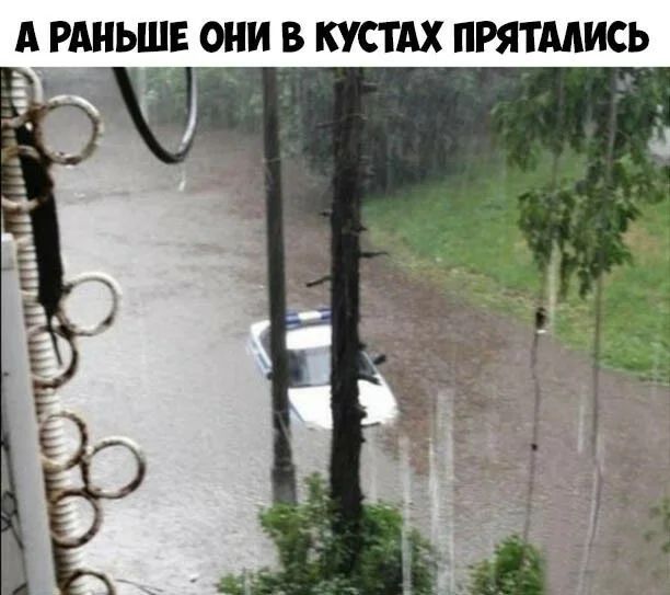 __ А РАНЬШЕ ОНИ В КУСТАХ ПРЯТААИСЬ г