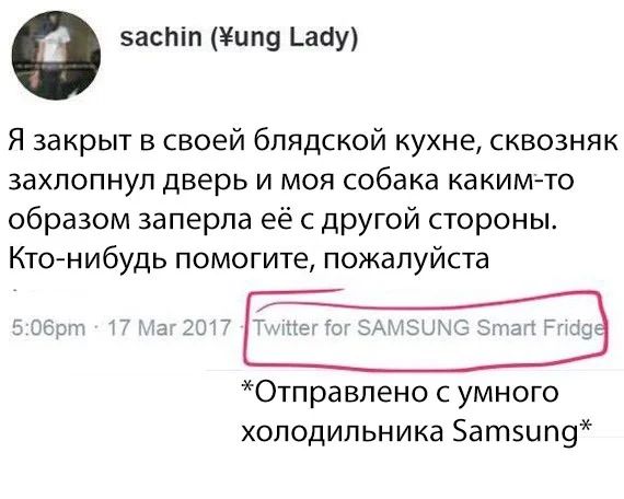 вести и п9 аау Я закрыт в своей блядской кухне сквозняк захлопнул дверь и моя собака каким то образом заперла её с другой стороны Кто нибудь помогите пожалуйста Отправлено с умного холодильника Затэцпф