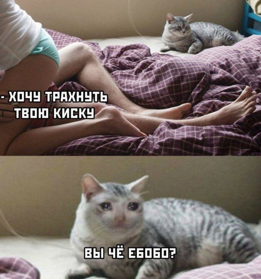 ВЫ НЕ ЕЕПЁД _