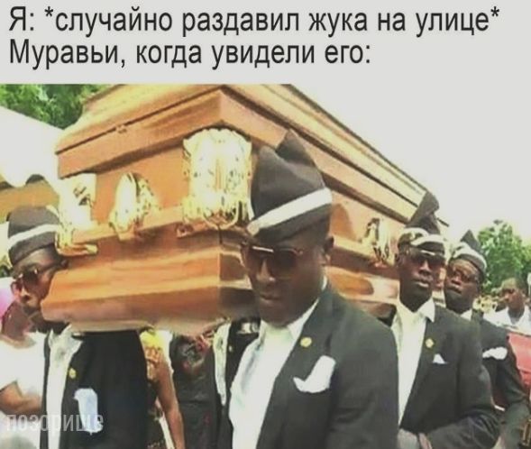 Я спучайно раздавил жука на улице Муравьи когда увидели его