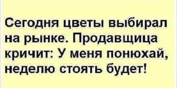 Сегодня цветы выбирал на рынке Продавщица кричит У меня понюхай неделю стоять будет