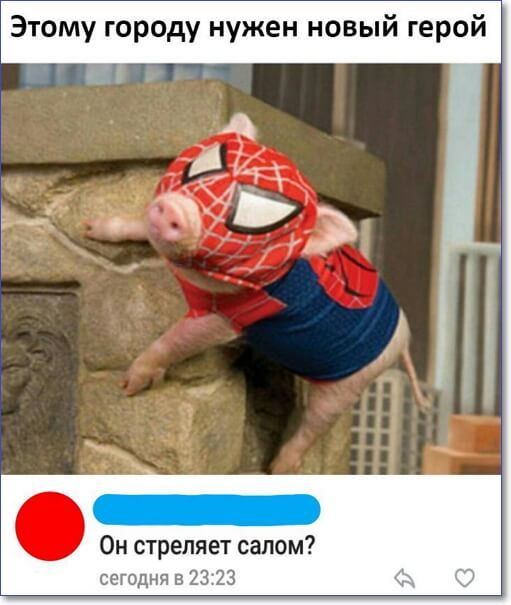 Этому городу нужен новый герой Он стреляет салом сегодня в