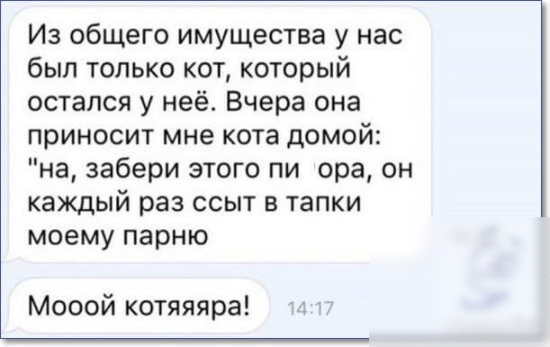 Из общего имущества у нас был только кот который остался у неё Вчера она приносит мне кота домой на забери этого пи ора он каждый раз ссыт в тапки моему парню Мооой котяяяра