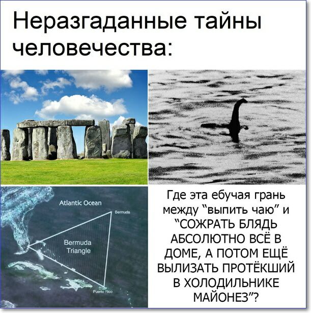 Неразгаданные тайны человечества Где эта ебучая грань между выпить чаю и СОЖРАТЬ БЛЯДЬ в АБСОЛЮТНО ВСЁ в ДОМЕ А потом ЕЩЁ ВЫПИЗАТЬ ПРОТЁКШИЙ в ХОЛОДИЛЬНИКЕ МАЙОНЕЗ