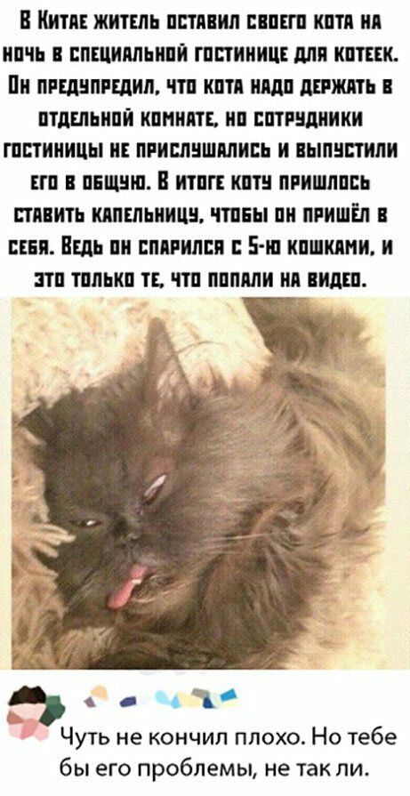 В Митя житыь пити ип ниш кптп ип ипчь ппшялнипй гпптииии для кпшк Пи пншпишип чтп иптп шп дпжпть птшьипи кипиш ип трещинки гпптииицы и пгишшялипь и ныпнпипи ш піишш итпг кит ппишпппь пилить клпшьиици чтпны и пришёл шп Ешь пи ппилпи 5 м кппкяии и тп тппькп т чпп пппми ип виш _ чі Чуть не кончил плохо Но тебе бы его проблемы не так ли
