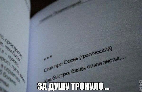 з ишитюнипо