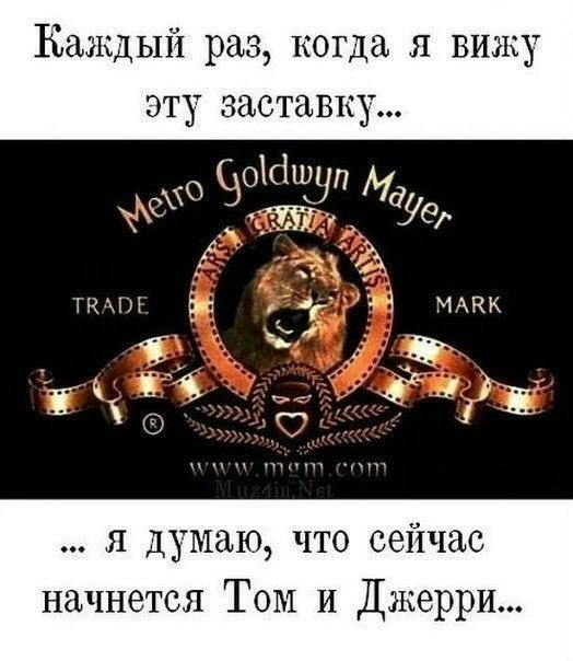 Каждый раз когда я вижу эту заставку я думаю что сейчас начнется ТОМ И Джерри