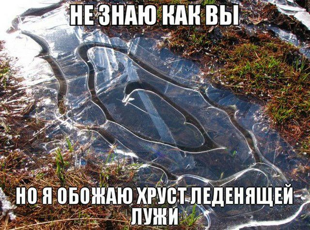 отдюхпвтЁи питт