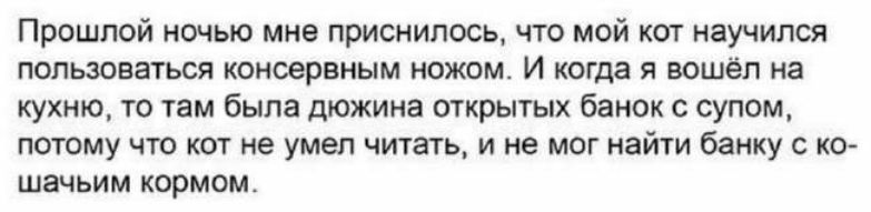 Прошлой ночью мне приснилось что мой кот научился ПОПЬЗОВЗТЬСЯ КОНСёРВНЫМ НОЖОМ И когда Я ВОШёП на кухню то там была дюжина открытых банок с супом потому что кот не умел читать и не мог найти банку ко шачьим кормом