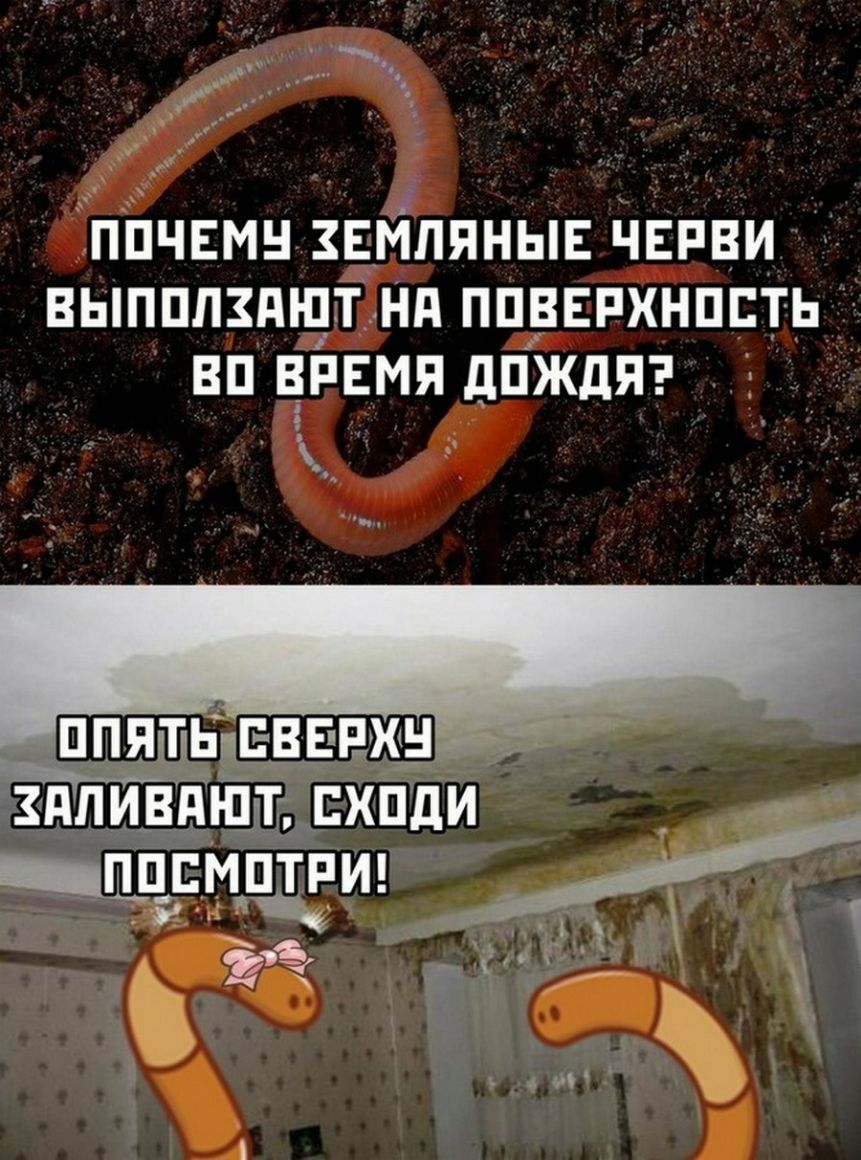 _ __ Ёппчвмнзвйпяныъ Черни выпплздщтнп ппрвпхнппть вп время дПЖдЯ нпивдъщт __щдрццщи ч в ЙЪ Ё