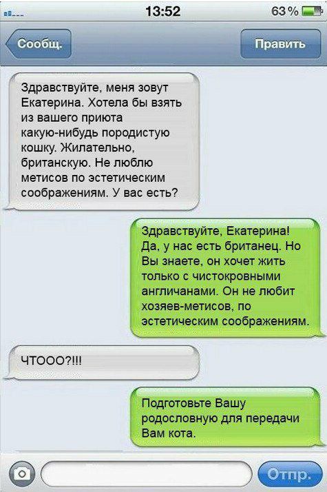 1352 63 Ш Здравствуите меня зовут Екатерина Хотела бы взять из вашего приюта какуюнибудь породистую кошку Жипатепьно британскую Не люблю метисов по эстетическим соображениям У вас есть ЧТООО ОС _ _ _