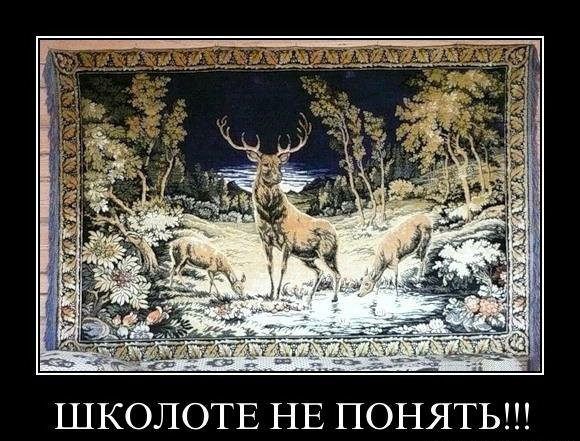 ШКОЛОТЕ НЕ ПОНЯТЬ