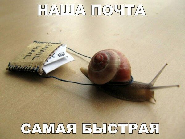 ЁЩА ЁПЁЕЪ ЁЫСЁЁЁМ