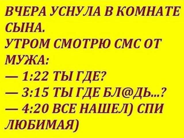 тимати ш шиитаке т шпиди мзтнгд _товащап щ