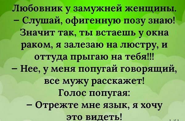 Значит так ты встаешь у окна раком я залезаю на люструи оттуда прыгаю на тебя Нее у меня попугай говорящий все мужу расскажет Голос попугая Отрежте мне язык я хочу это видеть