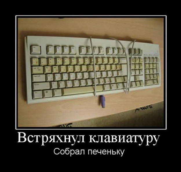 Встряэійул клавиатуру Собрал печеньку