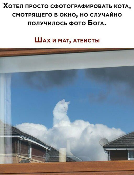 Хотел просто сфотогрдоировдть КОТА смотрящего в окно но СЛУЧАЙНО получилось ФОТО БОГА ШАХ И МАТ АТЕИСТЫ
