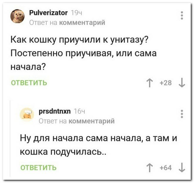 Риічегігасог Мн д комментарий Как кошку приучили к унитазу Постепенно приучивая или сама начала отввтить Т 28 1 гзапіпхп Ц НТН комментарии НУ дЛЯ начала сама начала а там И КОШКЭ ПОДУЧИЛЭСЬ отввтить Т 64