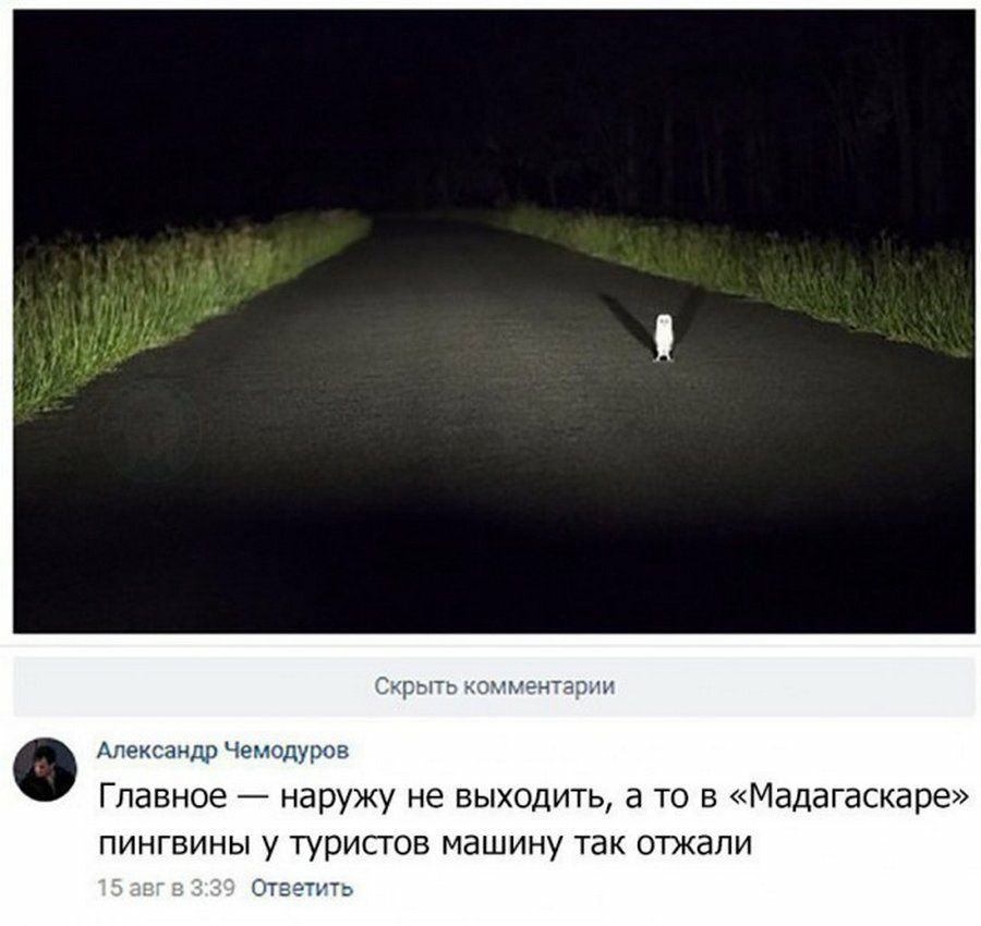 оннзнтяпнн Александр Чемодуров Главное наружу не ВЫХОДИТЬ а ТО В МЭДЭГЭСКЭРЭ ПИНГВИНЫ у ТУРИСГОВ МдШИНУ так ОТЖЭЛИ Ответить