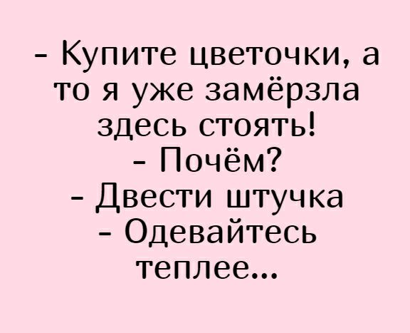 Купите цветочки а то я уже замёрзла здесь стоять Почём Двести штучка Одевайтесь теплее