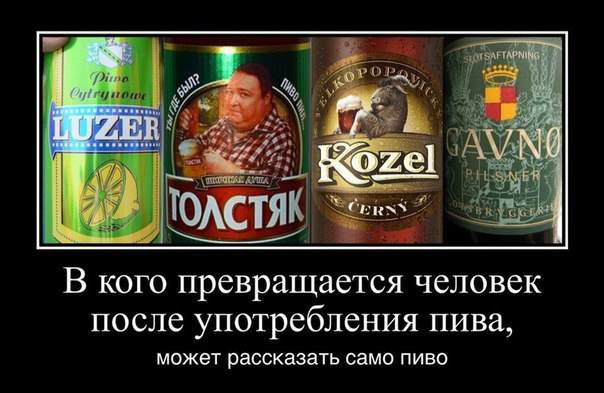 В КОГ 0 превращается человек после употребления пива МОЖЕТ рассказать СЗМО ПИВО