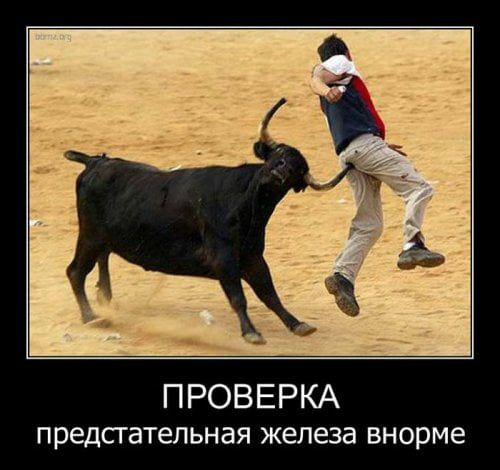 ПРОВЕРКА предсгательная железа внорме