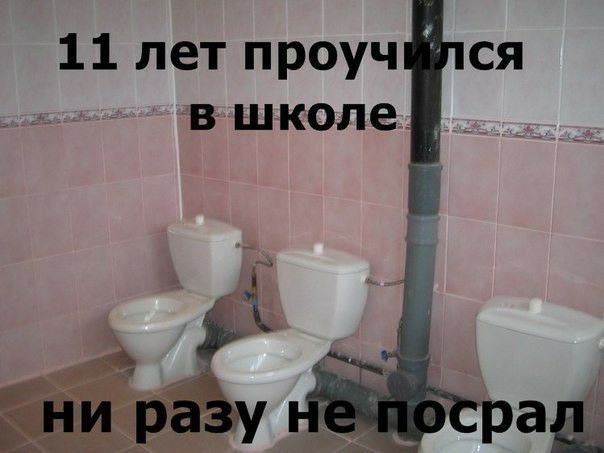 11 лет проуч СЯ вшколе