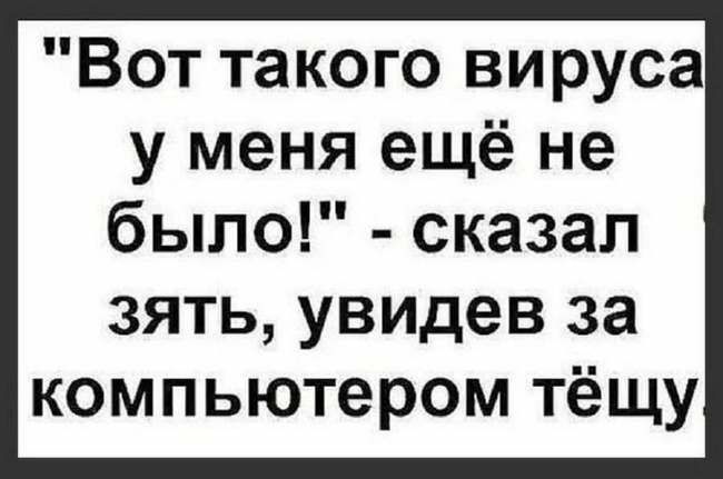 Вот такого вируса у меня ещё не было сказал зять увидев за компьютером тёщу