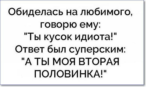 обиделась на любимого говорю ему Ты кусок идиота Ответ был суперским А ТЫ МОЯ ВТОРАЯ ПОЛОВИНКА