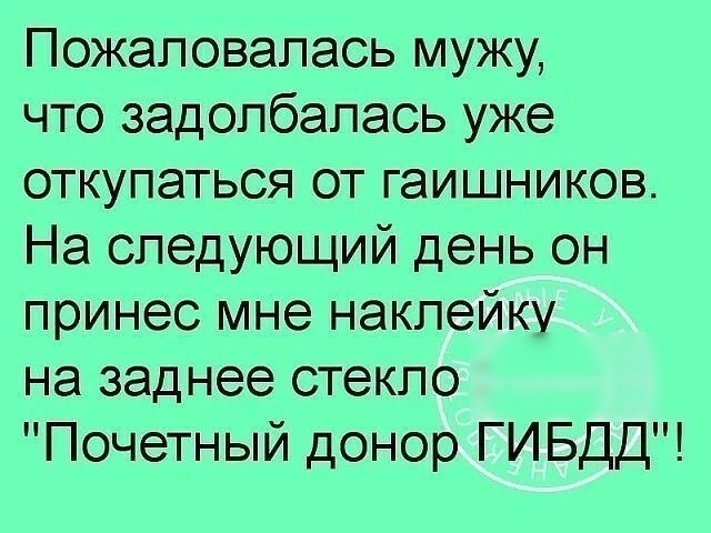 Пожаловапась мужу что задолбапась уже откупаться от гаишников На следующий день он принес мне наклейку на заднее стекло Почетный донор ГИБДД