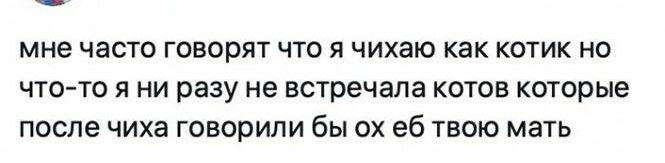 мне ЧЗСТО говорят ЧТО Я ЧИХЭЮ КЗК КОТИК НО ЧТО ТО Я НИ разу не встречала КОТОВ которые ПОСЛЕ ЧИХЗ говорили бЫ ОХ еб ТВОЮ МЭТЬ