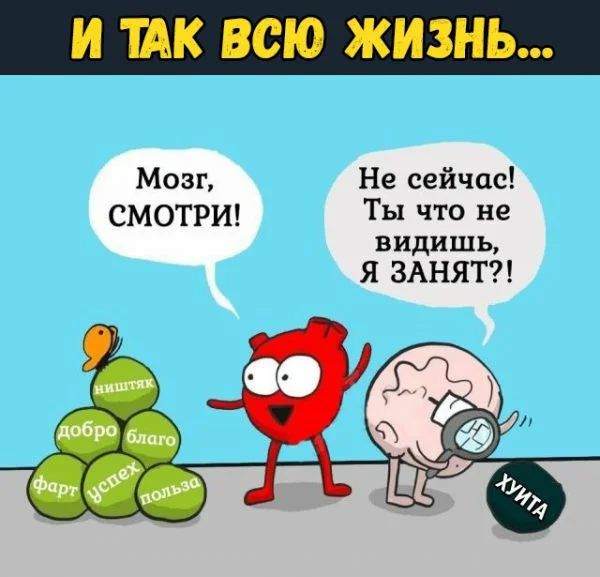 И ШК ВСЮ ЖИЗНЬ МОЗГ Не сейчас СМОТРИ Ты что не видишь Я ЗАНЯТ