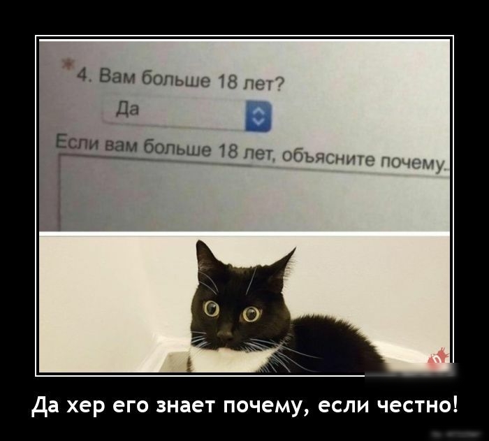 4 Вам больше 18 пт Да Если Вам брпьше 18 ЛЕТ объяснит ПО г Да хер его знает почему если честно