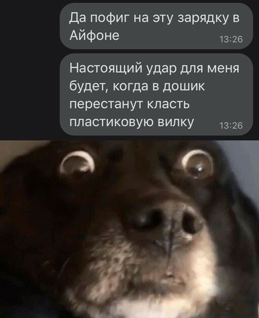 да пофиг на эту зарядку в Айфоне 1326 Настоящий удар для меня будет когда в дошик перестанут КЛЗСТЬ пластиковую ВИЛКУ 1326 13 А