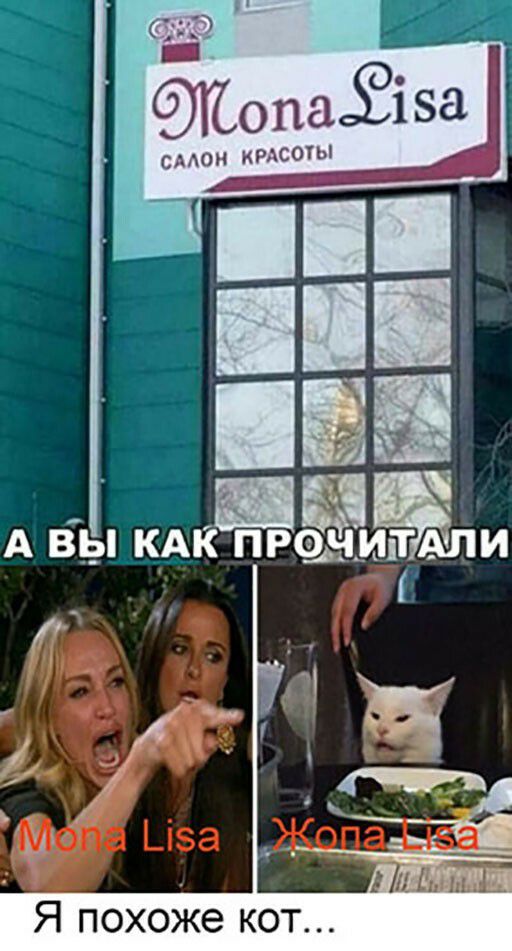 типа смо крдсоты Я похоже кот