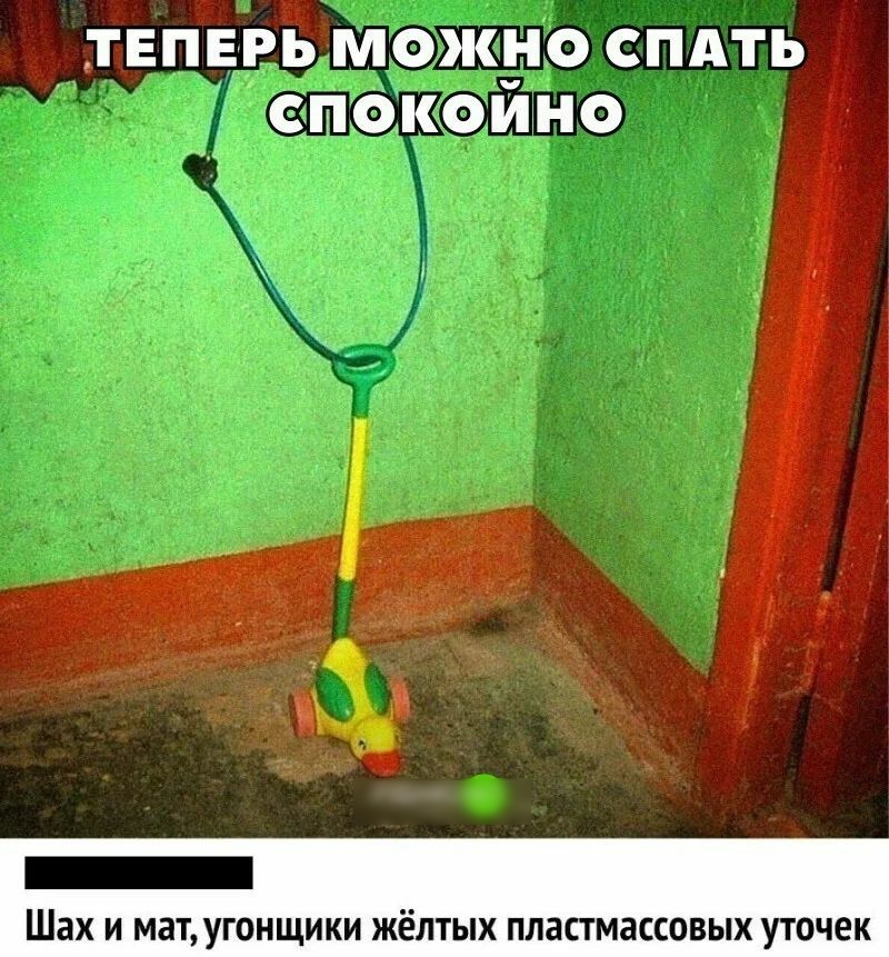 ТЕПЕРЬ МОЖНО СПАТЬ СПОКОИНО _ Шах и мат угонщики жёлтых пластмассовых уточек