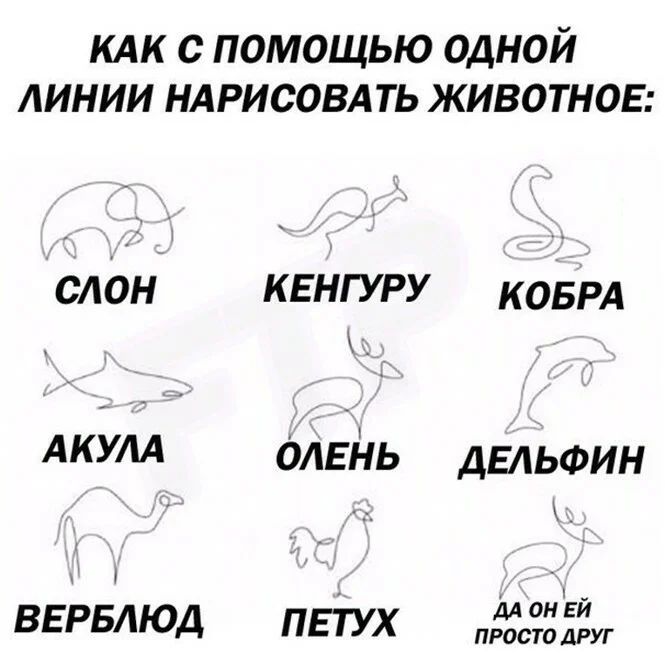 км с помощью одной линии ндрисовдть животнов слОн КЕНГУРУ коврд АКУЛА оАЕі іь дельфин У ВЕРБАЮД ппух М Е ПРОСТО ДРУГ