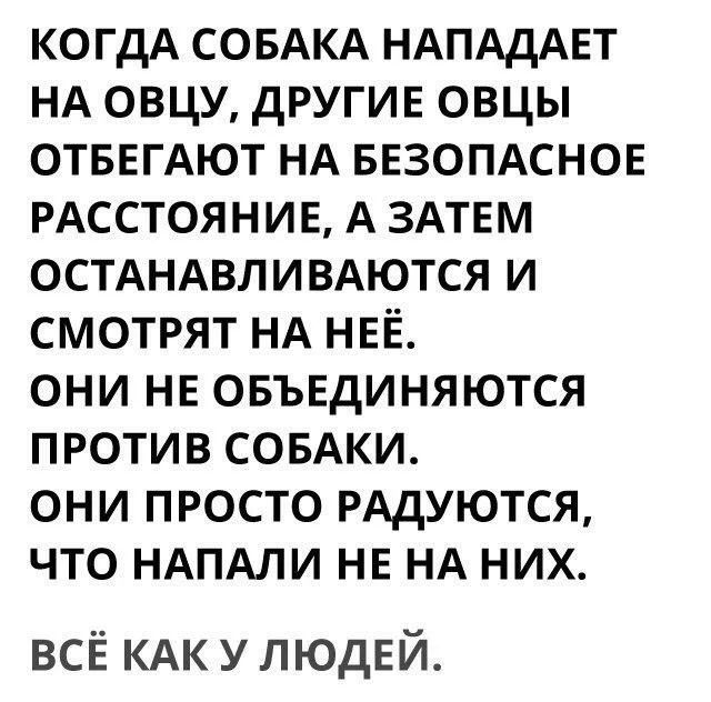 КОГДА СОБАКА НАПАдАЕТ НА овцу другив овцы ОТБЕГАЮТ НА БЕЗОПАСНОЕ РАССТОЯНИЕ А ЗАТЕМ ОСТАНАВЛИВАЮТСЯ и смотрят НА НЕЁ они НЕ овъвдиняются против СОБАКИ они просто РАДУЮТСЯ что НАПАЛИ НЕ НА них всЁ КАК у ЛЮДЕЙ