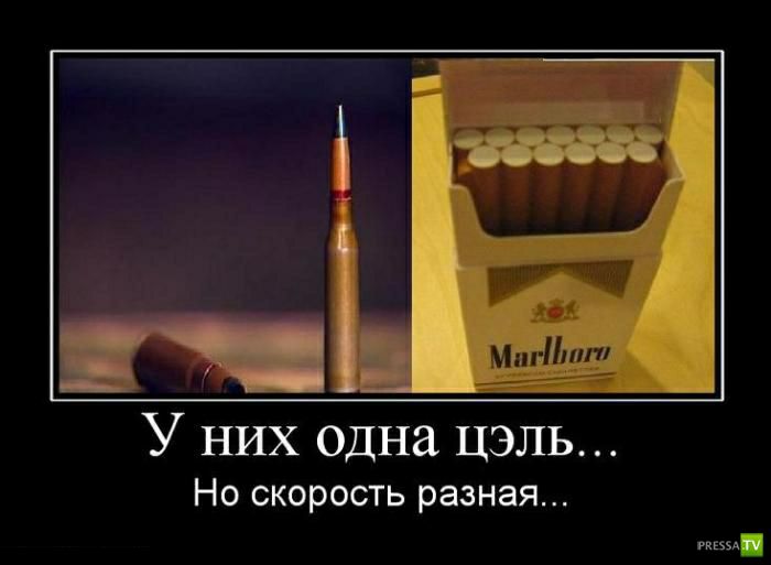 У них одна цэль Но скорость разная