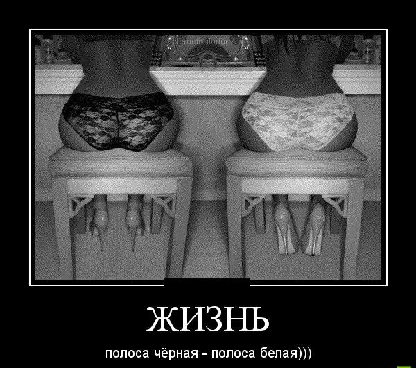 ЖИЗНЬ полоса чёрная полоса белая