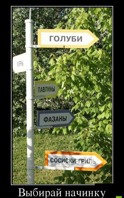 й начинку Выбира