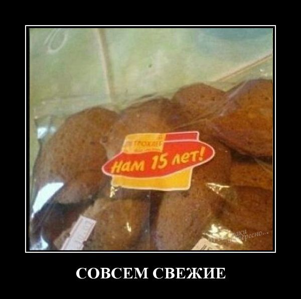 СОВСЕМ СВЕЖИЕ