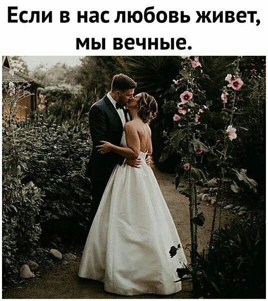 Если живете любовью