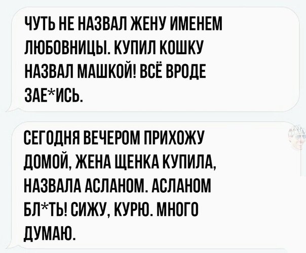 чуть НЕ ндзвдл жнну ИМЕНЕМ лювпвницы купил кошку ндзвдл мдшкой всЁ ВРОДЕ здЕись СЕГОДНЯ ВЕЧЕРОМ ПРИХПЖУ ЛПМПЙ ЖЕНА ЩЕНКА КУПИЛА НАЗВАЛА АБЛАНОМ АБПАНОМ БЛТЬ ВИЖУ КУРЮ МНОГО дУМАЮ