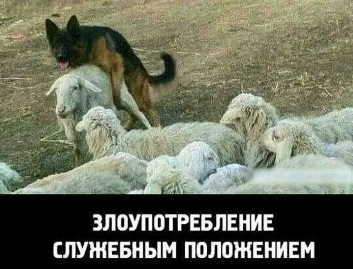 ЗЛОУПОТРЕБЛЕНИЕ СЛУЖЕБНЫМ ПОЛОЖЕНИЕМ