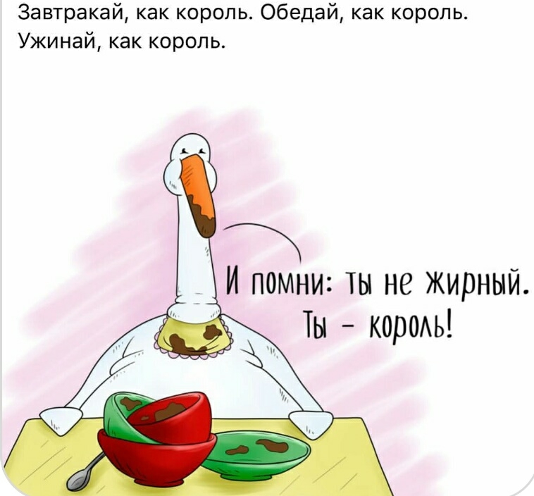 Завтракай как король Обедай как король Ужинай как король И помни ты не жирный Ты кореь _