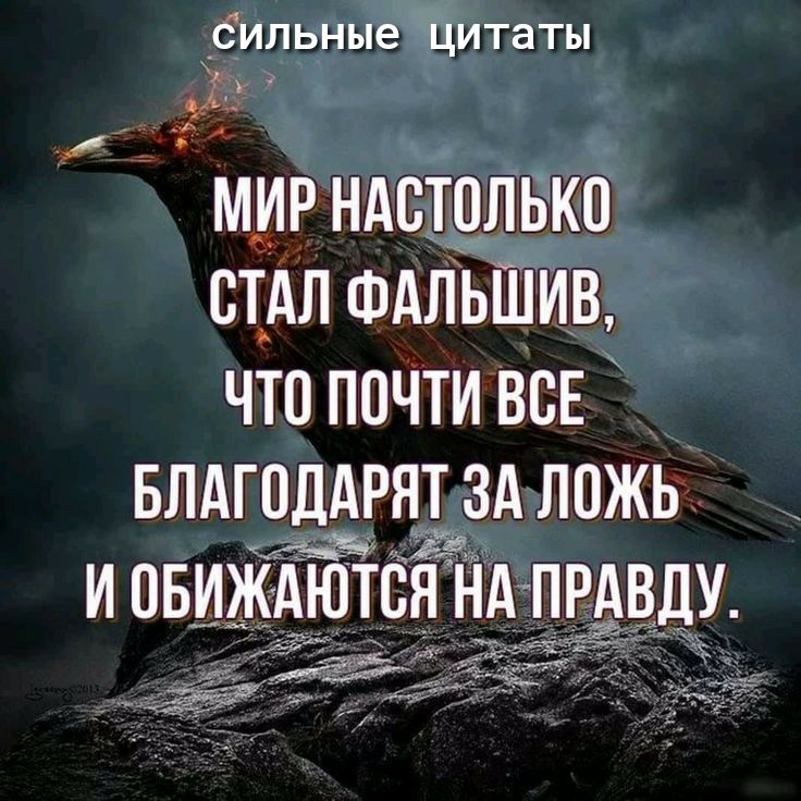 _бильныеЩитаты _ д мирндстолнко стАл ФАЛЪШИВ ЧТО ПОЧТИ ВСЕ _ _ БЛАГОДАРНТ ЗА ЛОЖЬ 33 И ОБИЖАЮТСЯ НА ПРАВДУ