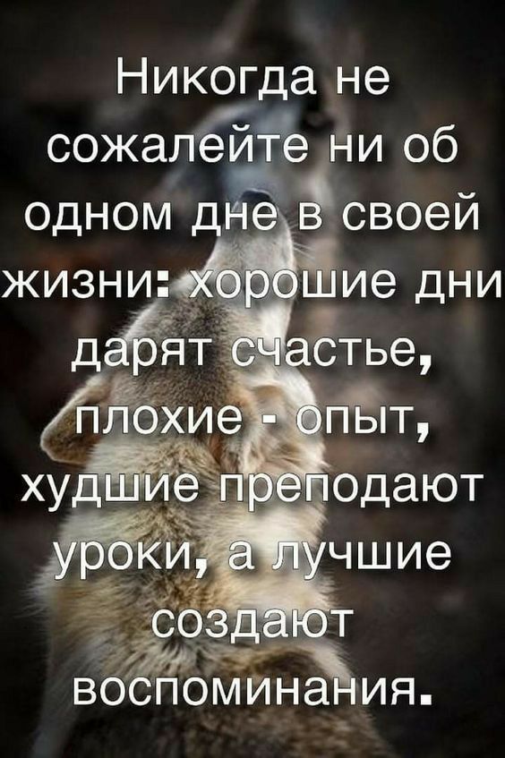 Никогда не сожапёйй РМ Об одном дне своей