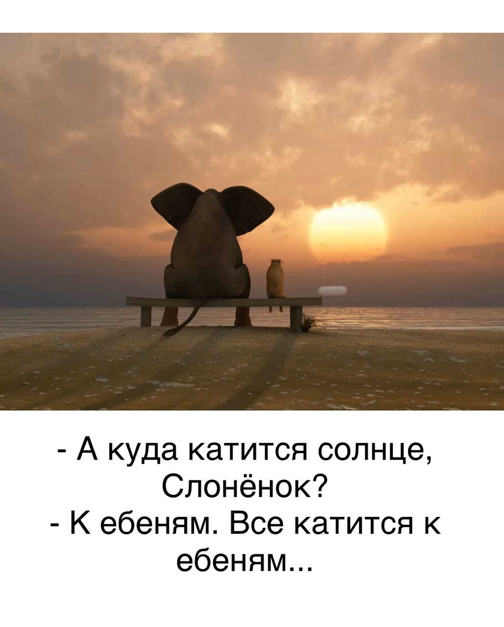 А куда катится солнце Слонёнок К ебеням Все катится к ебеням